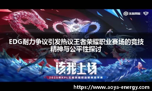 EDG耐力争议引发热议王者荣耀职业赛场的竞技精神与公平性探讨