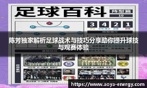 陈芳独家解析足球战术与技巧分享助你提升球技与观赛体验