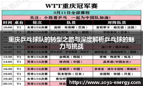 重庆乒乓球队的转型之路与深度解析乒乓球的魅力与挑战