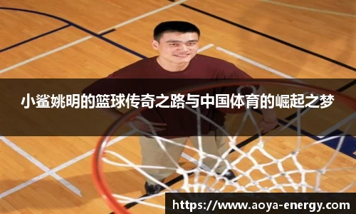 江南JNSport体育